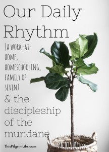 This is our daily rhythm as a work-at-home, homeschooling, family of seven (with a toddler and a newborn)!