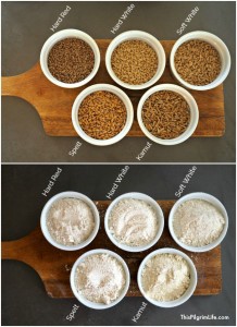 Fresh is best. This is true for fresh flour too! Grinding grain at home yields fresh flour that is rich in vitamins and nutrients, and full of amazing flavor.