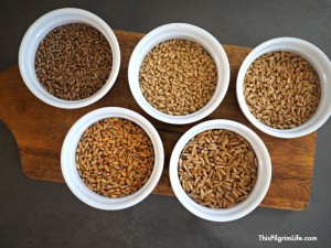Fresh is best. This is true for fresh flour too! Grinding grain at home yields fresh flour that is rich in vitamins and nutrients, and full of amazing flavor.