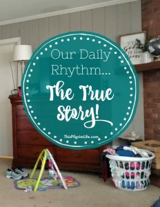 The true story of our daily rhythm... A day in the life of a work-at-home, homeschooling, mom of five children under eight.
