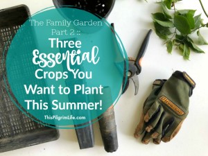 Are you planting a garden this summer? Even if you keep your garden small, you definitely want to include these three essential summer crops!