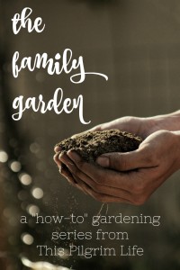 Join me for a multi-part series discussing the most important things you need to know about keeping a family garden! From planning a garden, keeping a kitchen garden, casting a long-term vision, how to handle weeds and bugs, managing the harvest, and tips for gardening with kids!