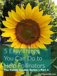 Pollinators play a crucial role in gardening! Here are five easy things you can do right away to help pollinators and make your garden a hospitable place for them!