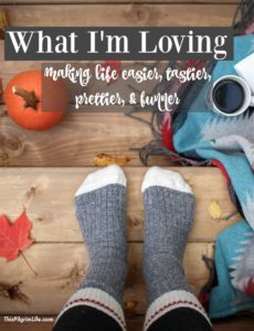 The end of summer and start of the school year can be so busy and messy as we settle into new routines, but it's always good to pause and look at what is going well and bringing us joy! Here is what is making our lives easier, funner, prettier, and tastier. 