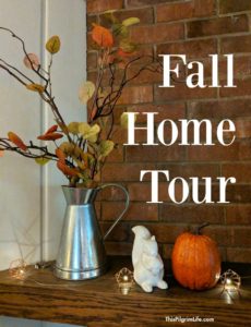 I love the coziness that a little Fall decor brings, but still need simplicity and a kid-friendly pieces. Here is how I decorated our home for Fall on a budget. 