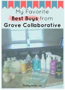I have been a Grove Collaborative shopper for years. I love how much time and money I save by ordering from Grove each month. Keep reading to see a list of my favorite best buys from Grove, as well as how you can get several of them for FREE!