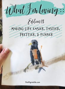 Focusing on the good things in life can be one of the best ways to stay positive and grateful! I love stopping to think about what is making life easier, tastier, prettier, and funner! This is my current list...