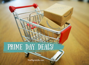 Here are some of the best kitchen and family deals on Amazon's Prime Day! 