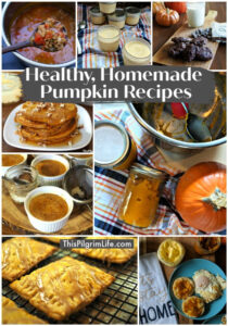 These delicious pumpkin recipes will give you all the fall feelings, AND still be healthy and feel indulgent!