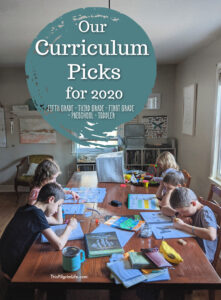 Our homeschool curriculum and book choices for three elementary age children, a preschooler, and a toddler too! Plus, even more tips and tricks from an experienced homeschool family. 