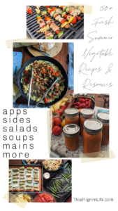 Fresh and vibrant produce is abundant in summer time, but when there's so much, it can be hard to figure out what to do with it all. Check out this delicious list packed with summer vegetable recipes for appetizers, sides, main dishes, soups, and even ways to put up and enjoy the seasonal goodness later in the year! 