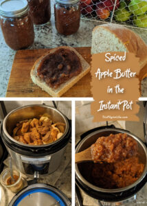 Spiced apple butter easily made in the Instant Pot with just enough sweetness! So delicious spread on bread, as a topping for oatmeal, and so much more. This recipe also cans easily for year-long preserving! 