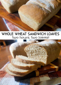 Soft and tender whole wheat sandwich loaves that can be ready in just two hours!