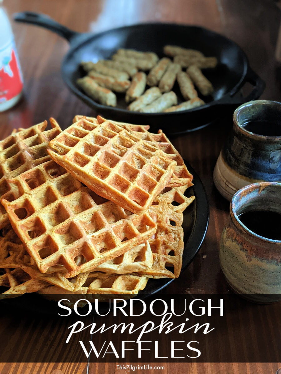 Sourdough waffles made with discard and pumpkin puree. So tasty!