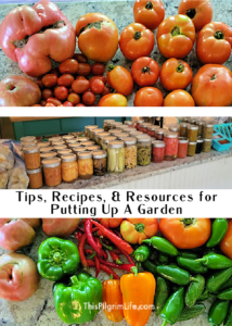Recipes and recommendations for canning, freezing, and preserving vegetables and fruit.