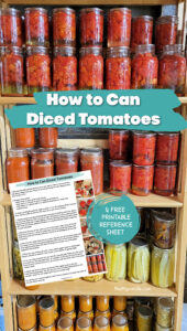 Canning diced tomatoes is a simple, basic way to preserve summer tomatoes at their peak of tastiness to enjoy the rest of the year! Here's how to can tomatoes in ten, easy-to-follow steps, with a free printable reference sheet to walk you through the process. 