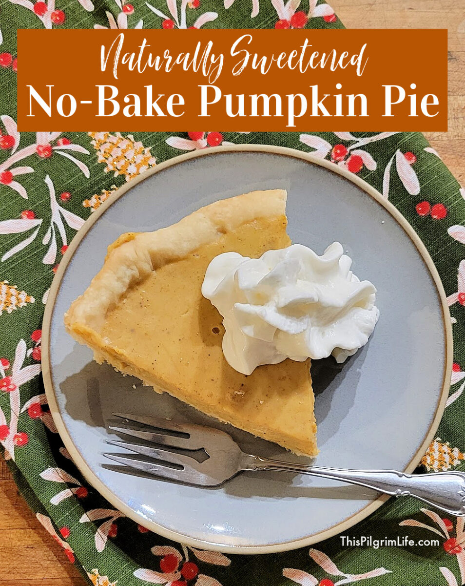 Smooth and spiced no-bake pumpkin pie, sweetened with maple syrup. This pie is easy to make ahead and a perfect addition to holiday meals.
