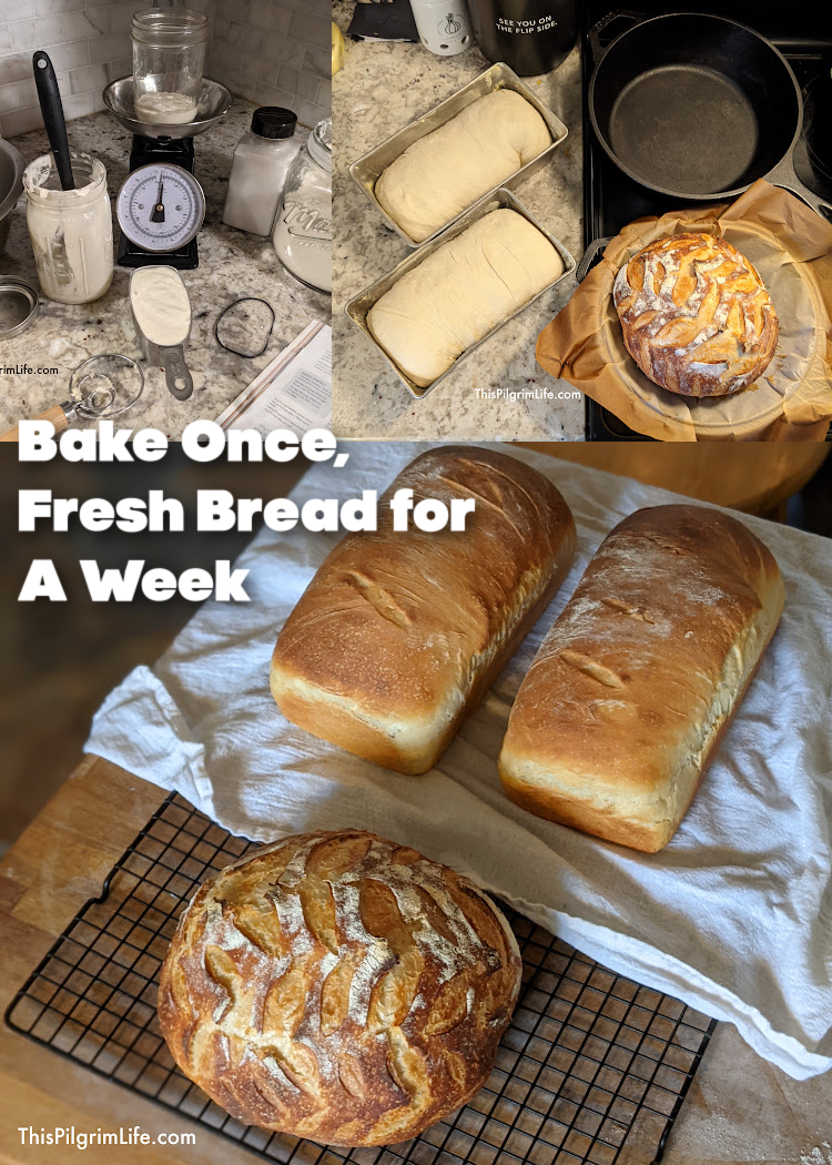 I put off learning sourdough baking for a long time because I thought it would take over my life and require more time than I had to give. But I’ve found a way to have plenty of fresh bread each week, without too much fuss.