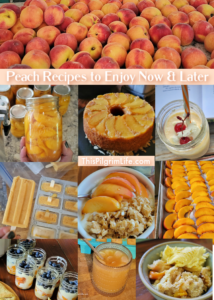 Check out this collection of peach recipes for fresh inspiration for enjoying one of summer's best fruits both now and later! Peaches at breakfast, in sweet treats, tasty drinks, and preserved to be enjoyed the rest of the year too!
