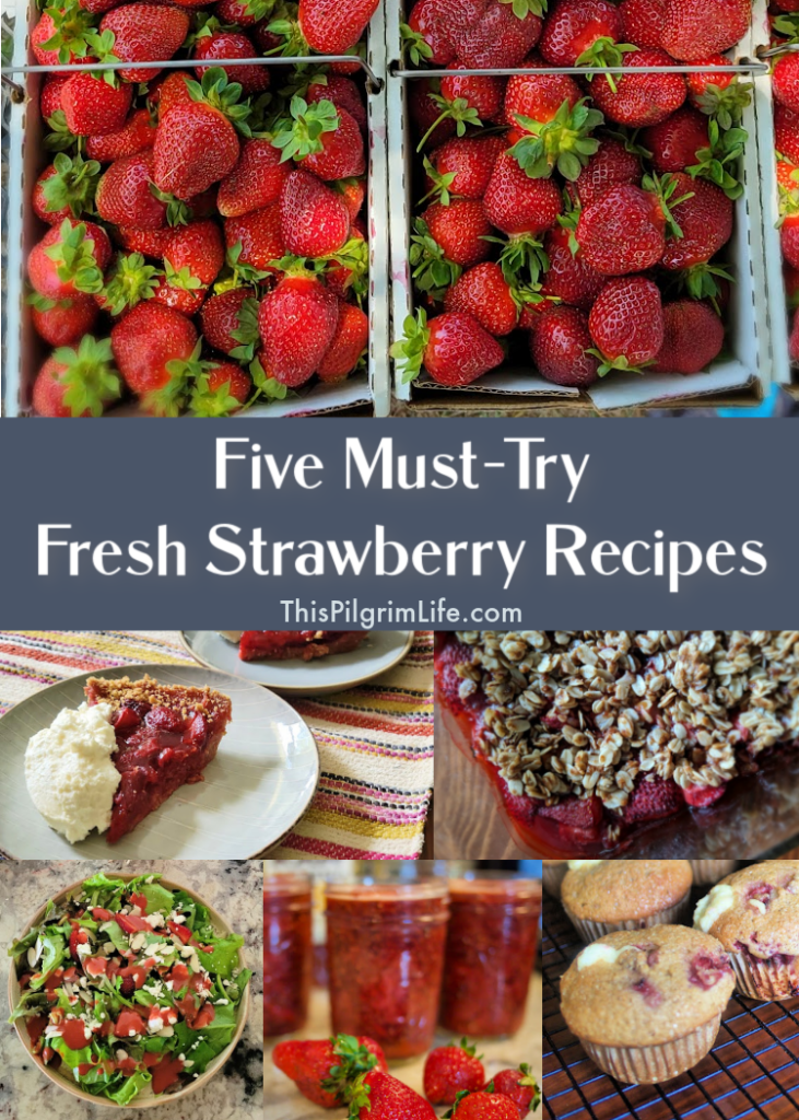 Strawberries are the BEST when eaten in season! Put these five fresh strawberry recipes on your must-try list this season and savor the magnificence of seasonal produce!